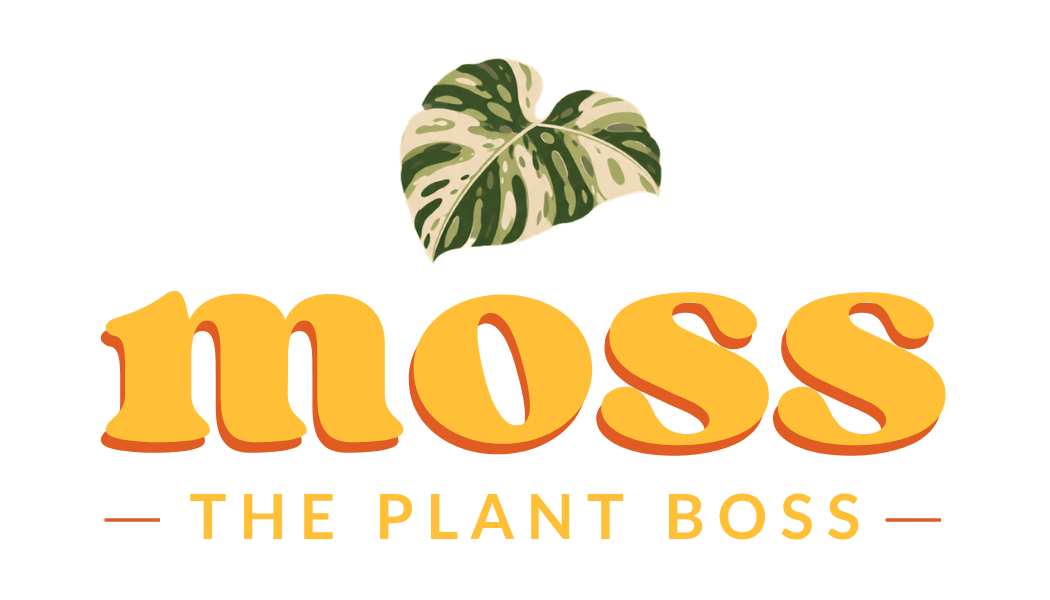 Moss the Plant Boss